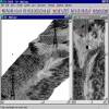 Clic aqu� para imagen completa